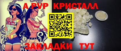 jwh Кингисепп