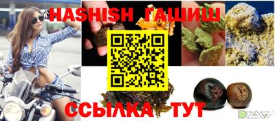 jwh Кингисепп