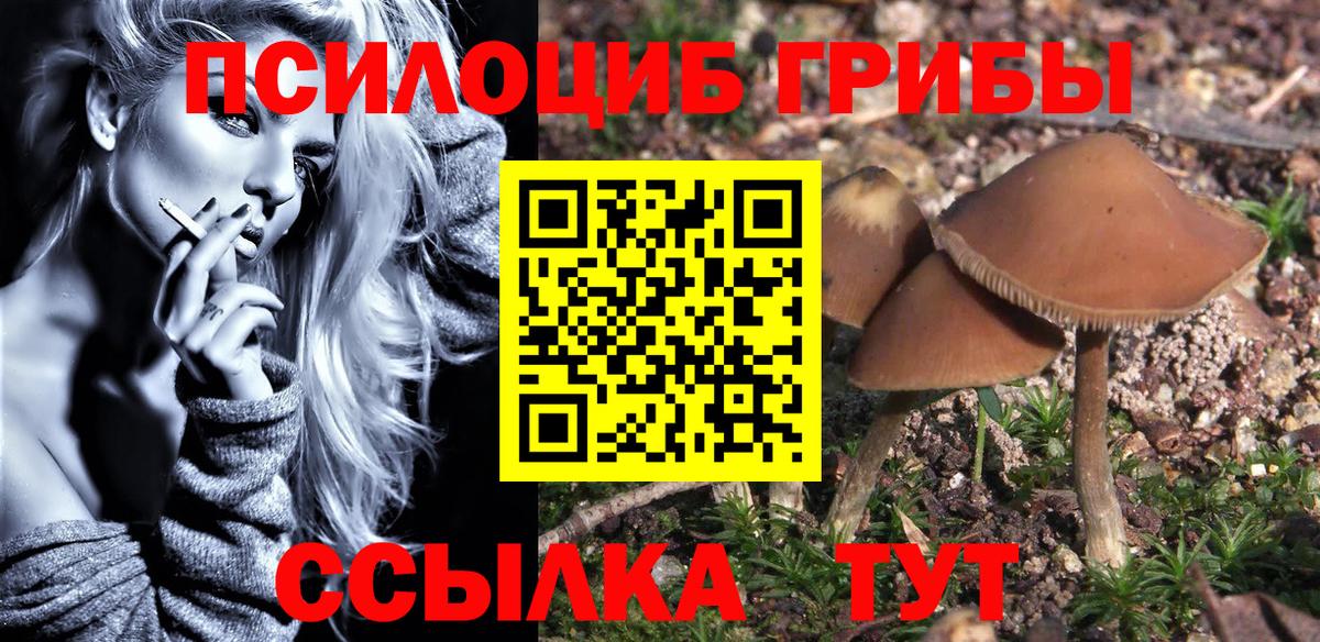 Галлюциногенные грибы Magic Shrooms Курчатов